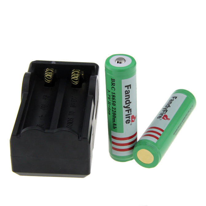 FandyFire US Plug Charger + "2200mAh" 18650 Protected Battery